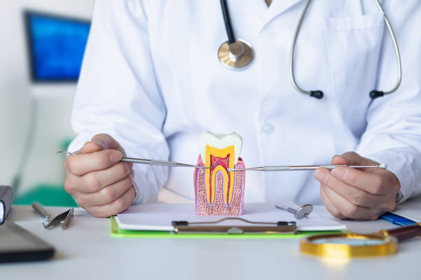 Best Pediatric Emergency Dentist in Batesville, MS